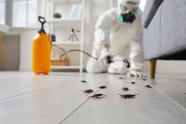 Commercial Kitchen Cockroach Control in Estherville